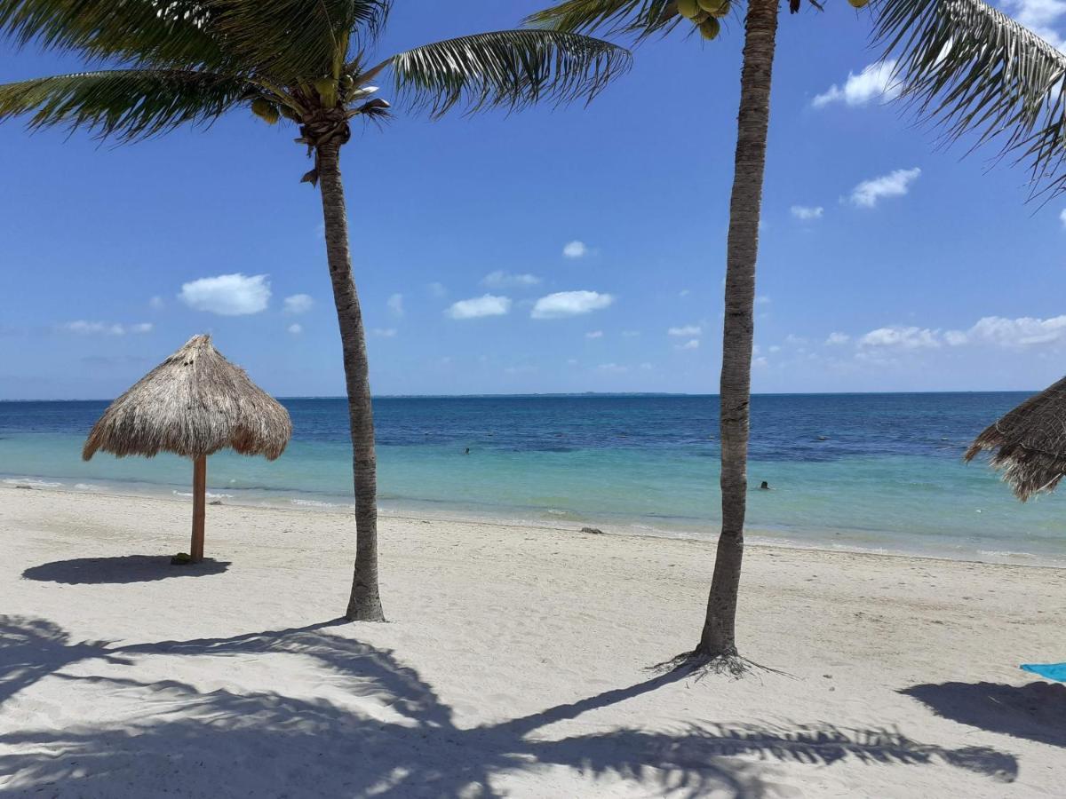 Turquise Beach Cancun Suite Eksteriør billede